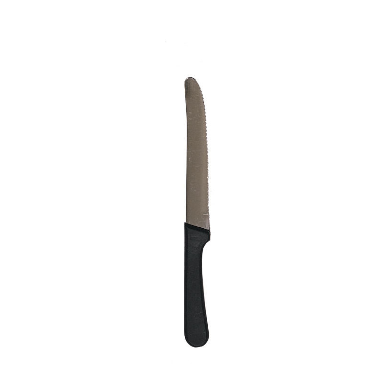 Update International Serrated Steak Knife