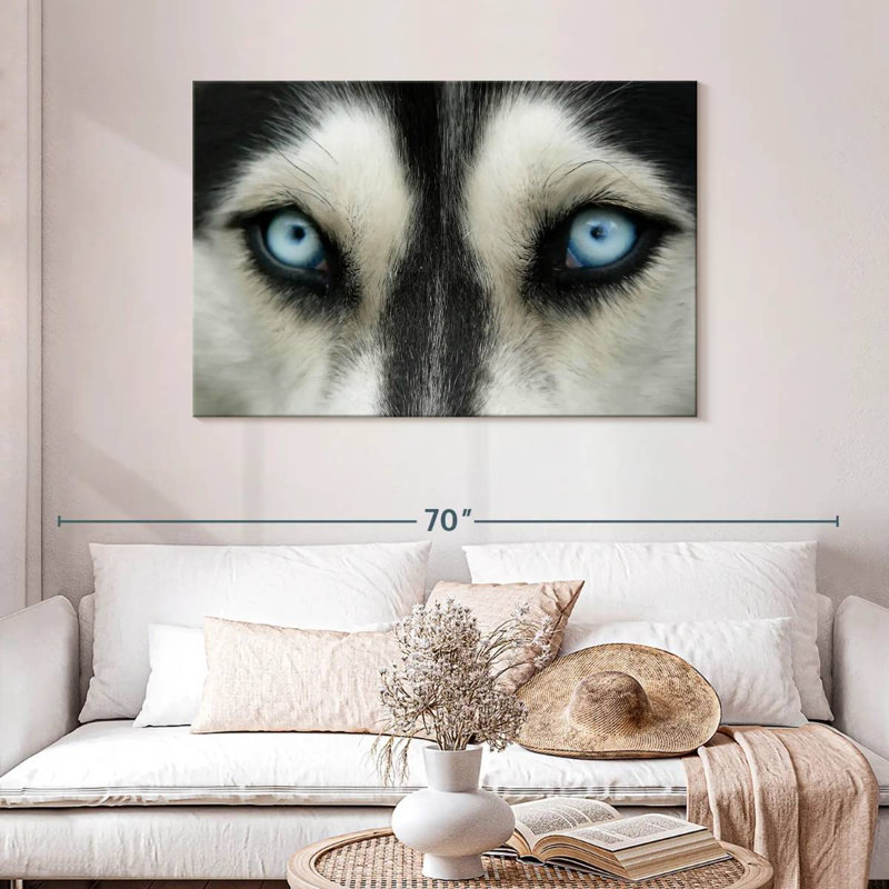 Husky Brampt aux yeux du ciel, H 30 po x l 45 po