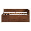Lit de jour simple en noyer avec tablette pratique et agencement de tiroirs - Space Handy Combinaisons Modern Home Staple