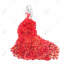 Art floral sur toile rouge