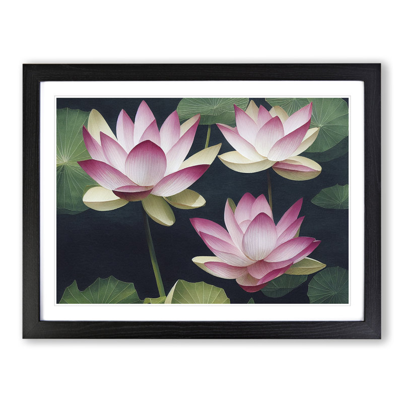 Lotus Flowers In Watercolour - Single Picture Frame Print, Black, 46cm H x 64cm W
