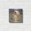 «Eye On Butterfly V» par Diane Hoeptner-962331086