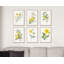 Rose jaune rétro - ensemble de 6 reproductions sans cadre-1961832454