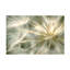 Art sur toile Anna Cseresnjes-109226810