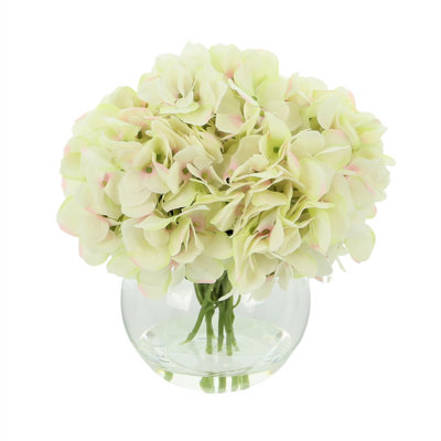 Hortensia de Carruth dans un vase