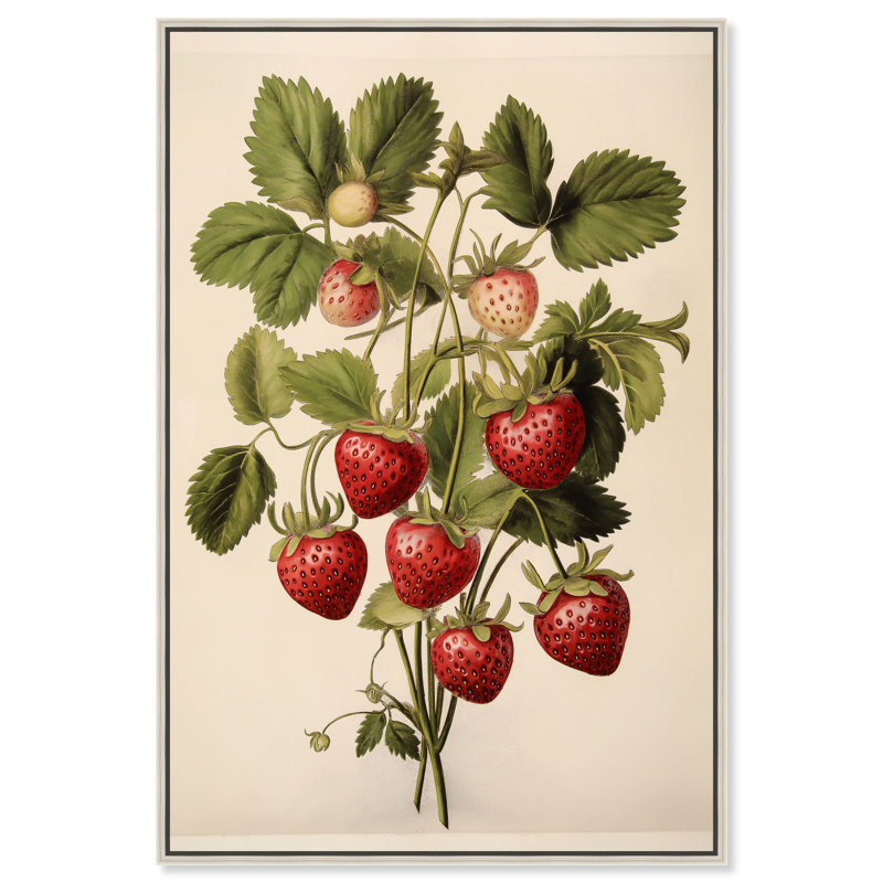 «Strawberry Softness II», reproductions sur toile par Art Remedy, H 16 po x l 11 po, Cadre flottant argent