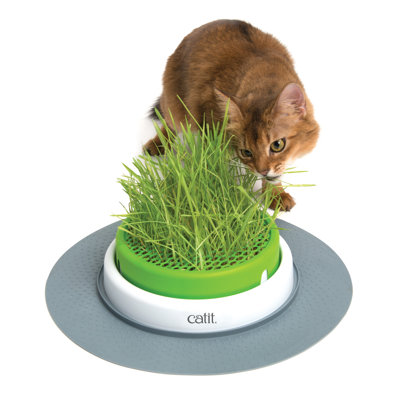 Bol à herbe
