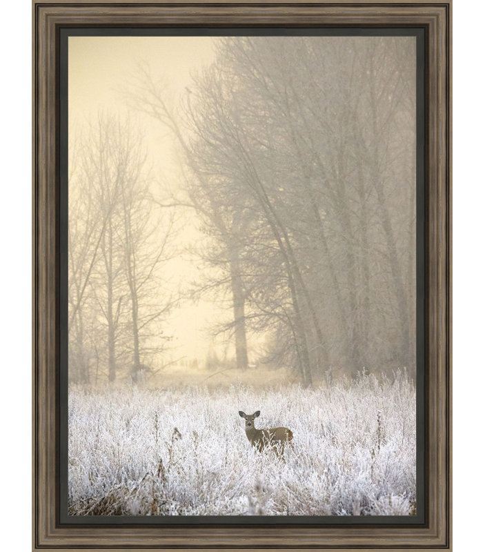 « white cerf » à brouillard uni», reproduction de photo encadrée