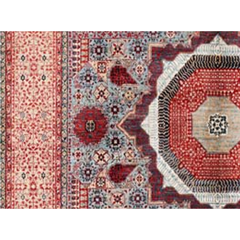 Aryana Wool Oriental Area Rug