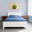 Plantes et fleurs, motif de feuilles de plantes-649474818-649474820-649474822