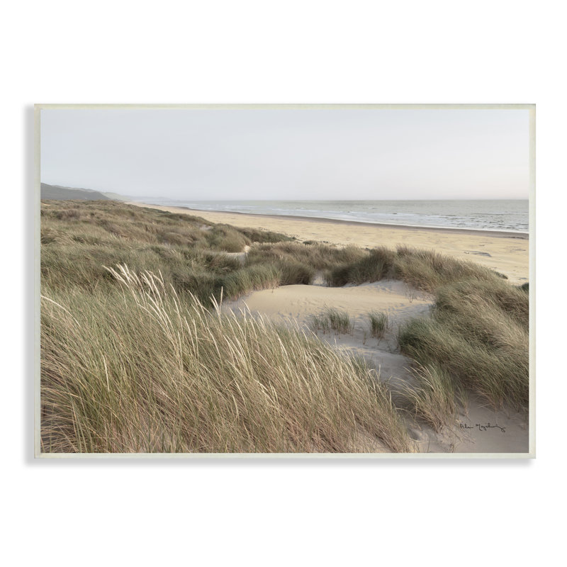 «Mute Beach Coast Tall Grassy Dunes Distant Mountains» par Alan Majchrowicz - photographie, Plaque murale