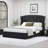 Button Tufted Wingback Velvet Upholstered Platform Bed with Storage Drawers Full, Cream Velvet-11630334-11630333