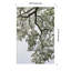 «Pleasantville Coastal Forest» par Shot par Clint Wood, reproduction d'art encadrée-1453798614-1453798635