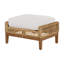 Peninsula Outdoor Ottoman with Cushion-179510999-223880322-223872155