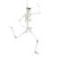 160CM Halloween Haunted House Horror Plastic Realistic Skull Skeleton