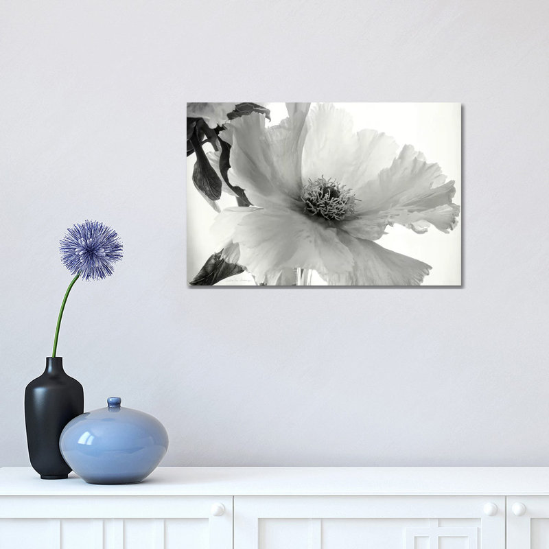 Translucent Peony, B&W IV 1 Piece Wrapped Canvas Wall Art, 30.48 cm H x 45.72 cm W