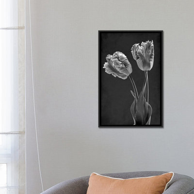 " Mono Parrot Tulips " by Alyson Fennell