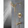 SAYLOR™ Monitor® 17 Series Tub & Shower Trim with In2ition®