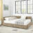 Modern Queen Size Storage Upholstered Tufted Daybed With Comfortable Backrest And Armrests For Bedroom And Living Room,-706605309