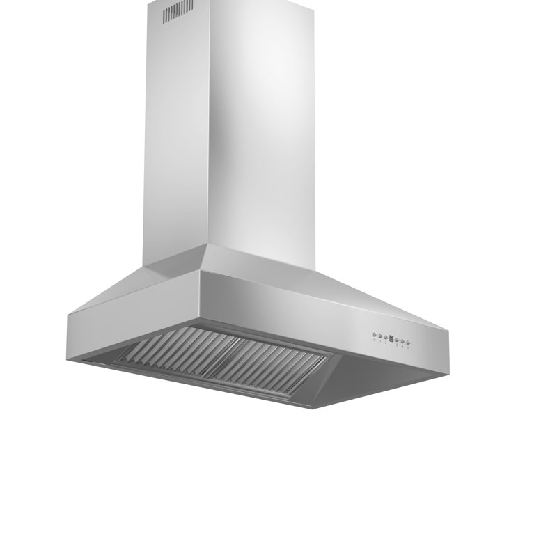 30" Professional 400 CFM Convertible Wall Mount Range Hood in Stainless Steel