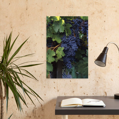 Cabernet Sauvignon Grapes In Vineyard Wine Country California Usa Abstract Contemporary Landscape Nature Art