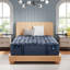 Perfect Sleeper Pro New Paris Medium 15" Latex Hybrid Mattress-1833884665