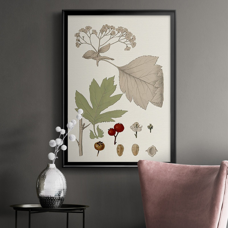 Feuilles et baies II sur papier, H 36,5 po x l 26,5 po x P 1 po, Noir