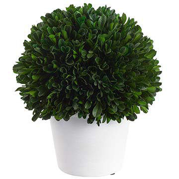 9.5" Preserved Boxwood Ball Topiary In Pot