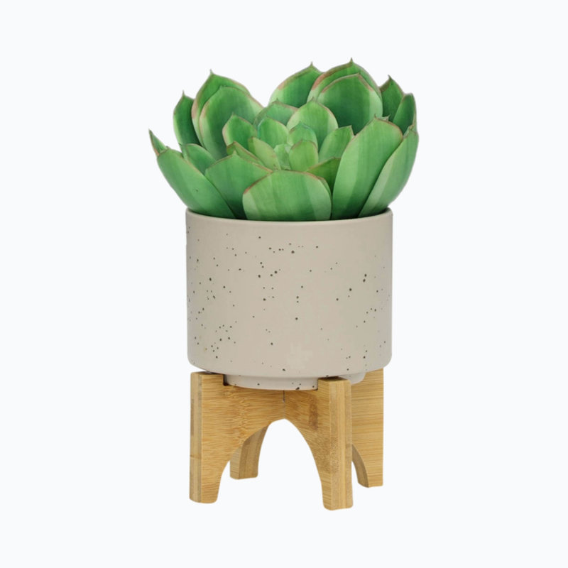 Yeilin Ceramic Pot Planter