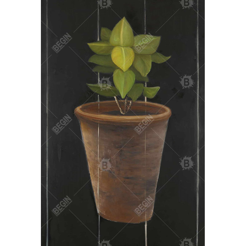 Plant of bay leaves Bath Mat with Non-Slip Backing - Quick Dry Memory Foam Bathroom Rug - Absorbent - Modern Plush Spa-Style - Machine Washable