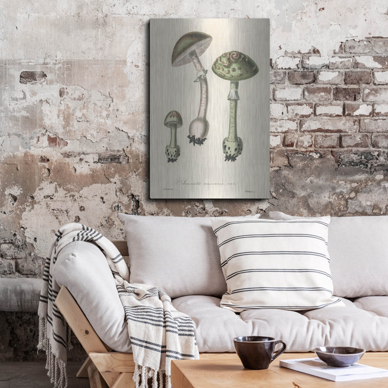 «Amanita Muscaria 2» par Art Licensing Studio, art mural en métal, 24 po x 36 po, H 36 po x l 24 po