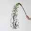 Branche en cascade de gazon - 27,5 po-1259225108