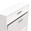 Barbaa 12 Pair Shoe Storage Cabinet