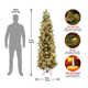 The Holiday Aisle® Carolina Pine Slim Tree with Clear Lights