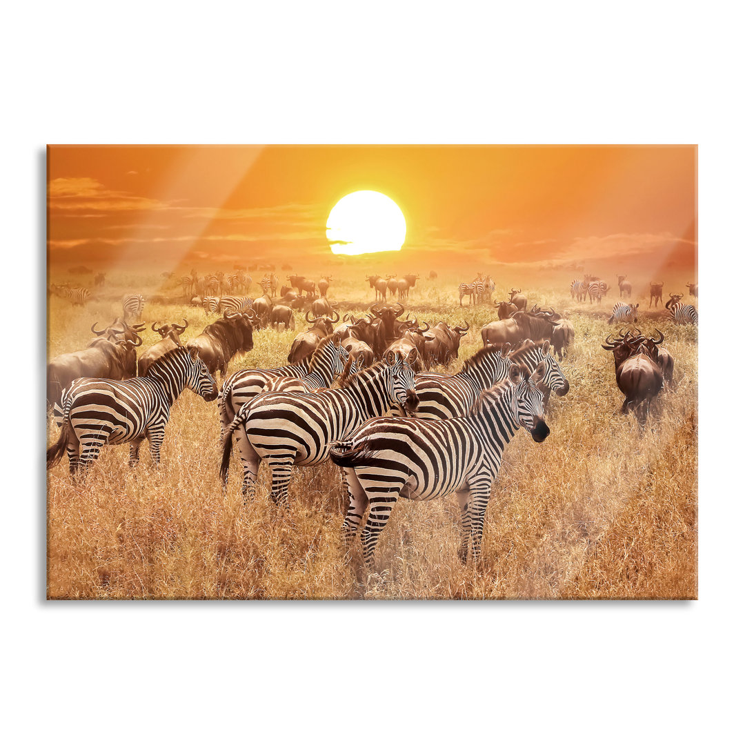 Glasbild Zebraherde Savanne bei Sonnenuntergang