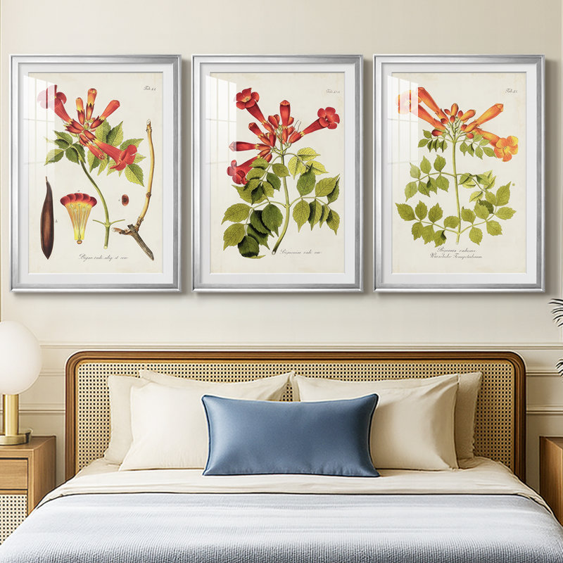 Fleurs tropicales de trompette I - impression encadrée sur mesure de qualité supérieure - 3 pièces, Argent argent