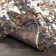Maestas Abstract Indoor Rug