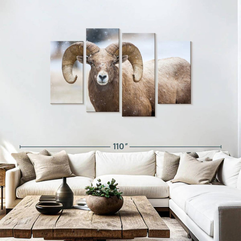 Brampt Bighorn Sheep, 48" H x 75" W