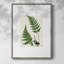 Impression encadrée Fern II - bois massif 51004-644933522