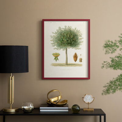Arbre antique avec fruit X, reproduction encadrée - bois massif