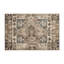Tapis intérieur et extérieur Ethereal Heirloom-304220309