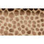 Handmade Wool Animal Print Area Rug