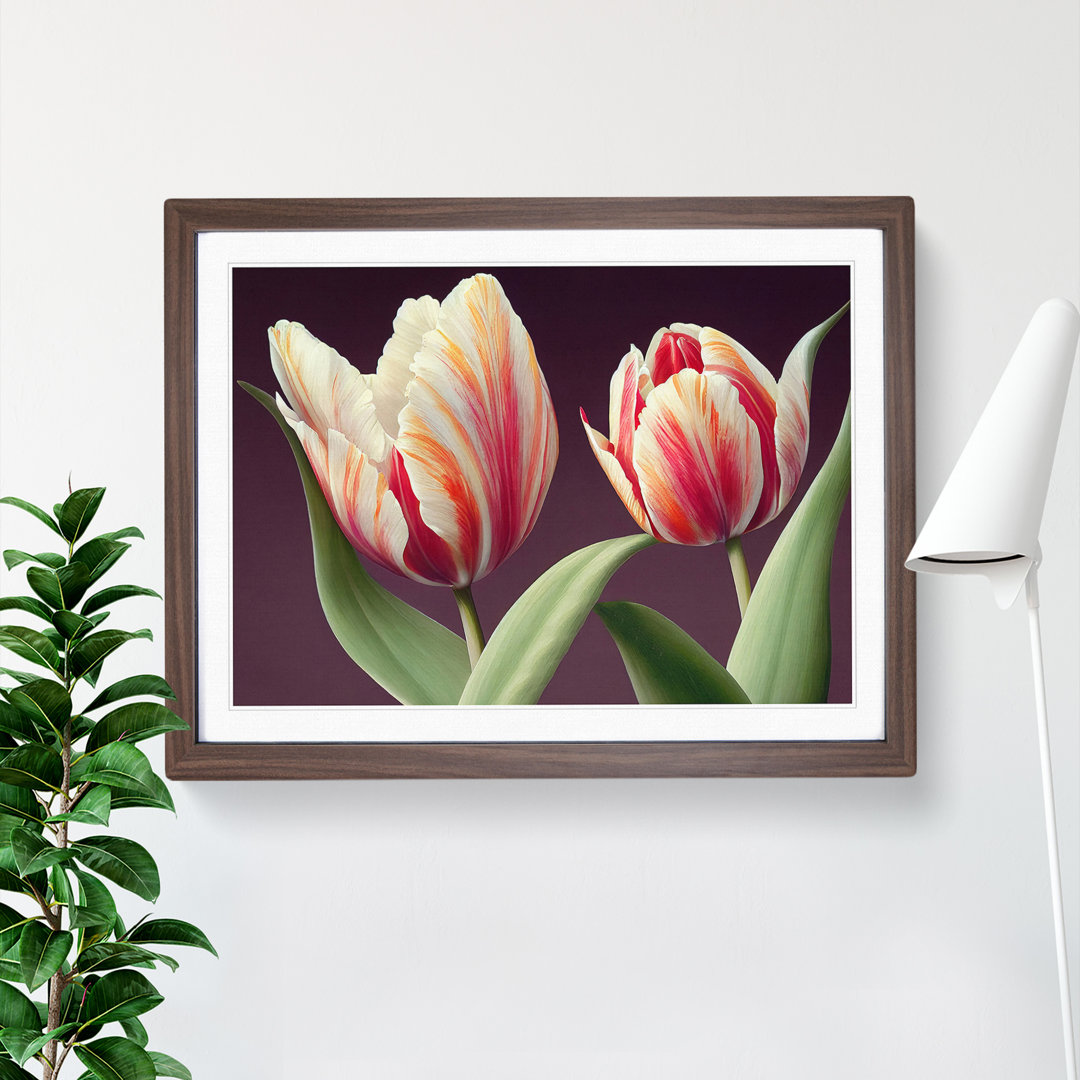 Gentle Tulip Flowers - Single Picture Frame Print
