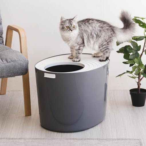 Polypropylene Litter Box, Grey