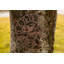 Capel Wall Clock