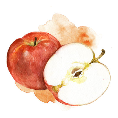 Red Apple Watercolor Illustration - Wrapped Canvas Painting