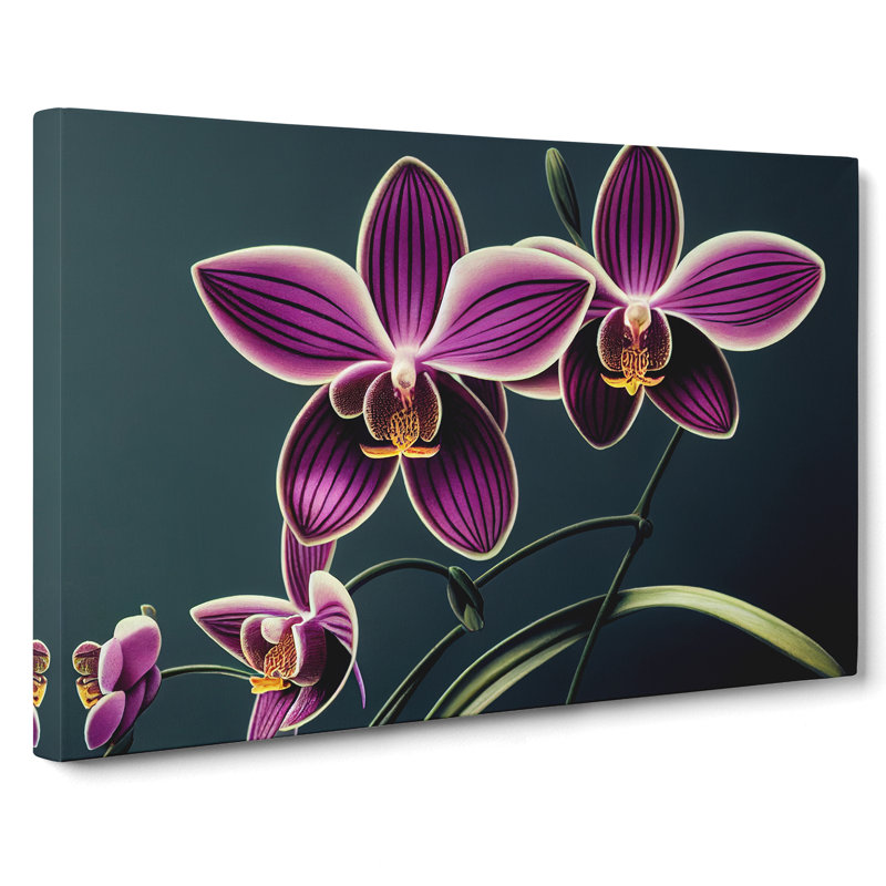 Thrilling Orchid Flowers - Wrapped Canvas, 35cm H x 50cm W x 3cm D