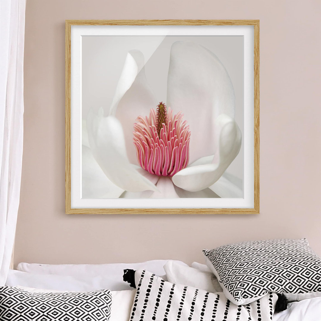 Gerahmtes Papierbild Magnolie in Rosa