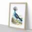 Crowned Pigeon by George Shaw - Framed Print-55621413-55621412