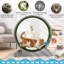 Roue d'exercice pour chat 33,5 "sans bruit-2099373591